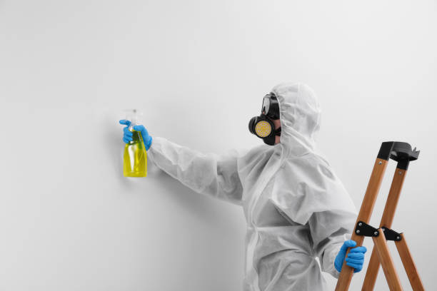 Best Commercial Mold Inspection  in Greenville, IN